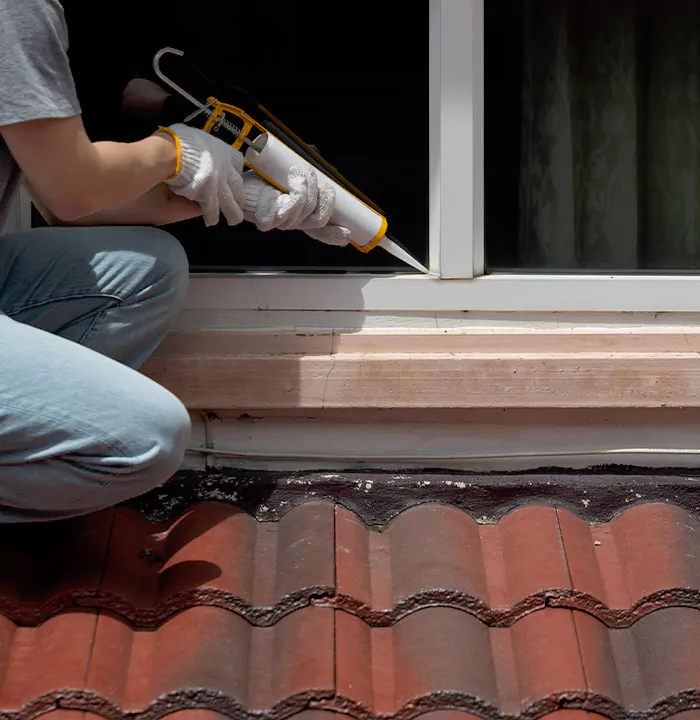 Roof Window Services in Union City, California