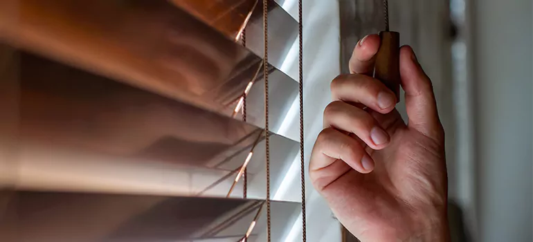 Double Roller Blinds in Union City, CA