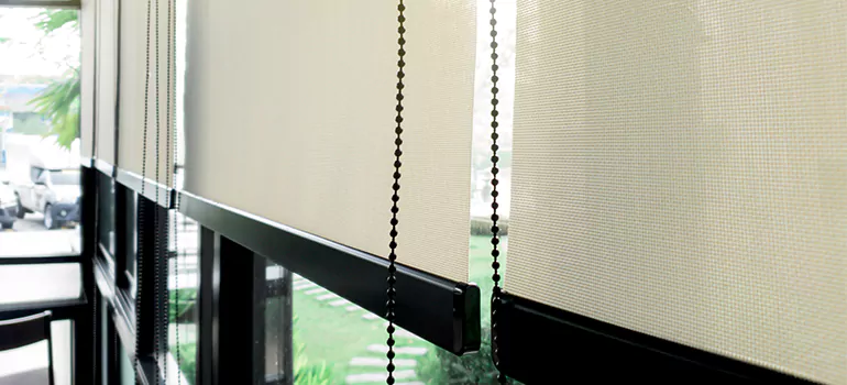 Blackout Window Shades in Union City, CA