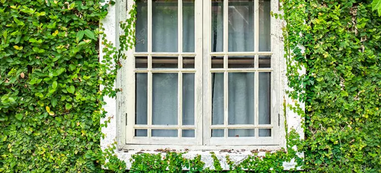 Garden Window Repair Near Me in Union City, CA