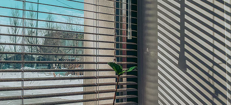 Commercial Window Blinds in Union City, CA