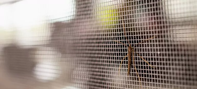 Repair Mosquito Mesh For Windows in Union City, CA