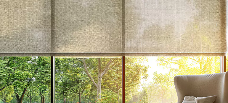 Custom Window Shades in Union City, CA