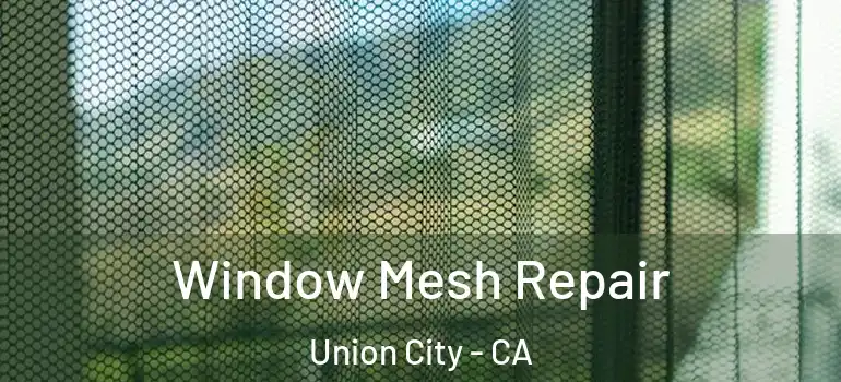  Window Mesh Repair Union City - CA