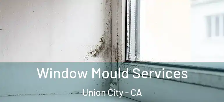  Window Mould Services Union City - CA
